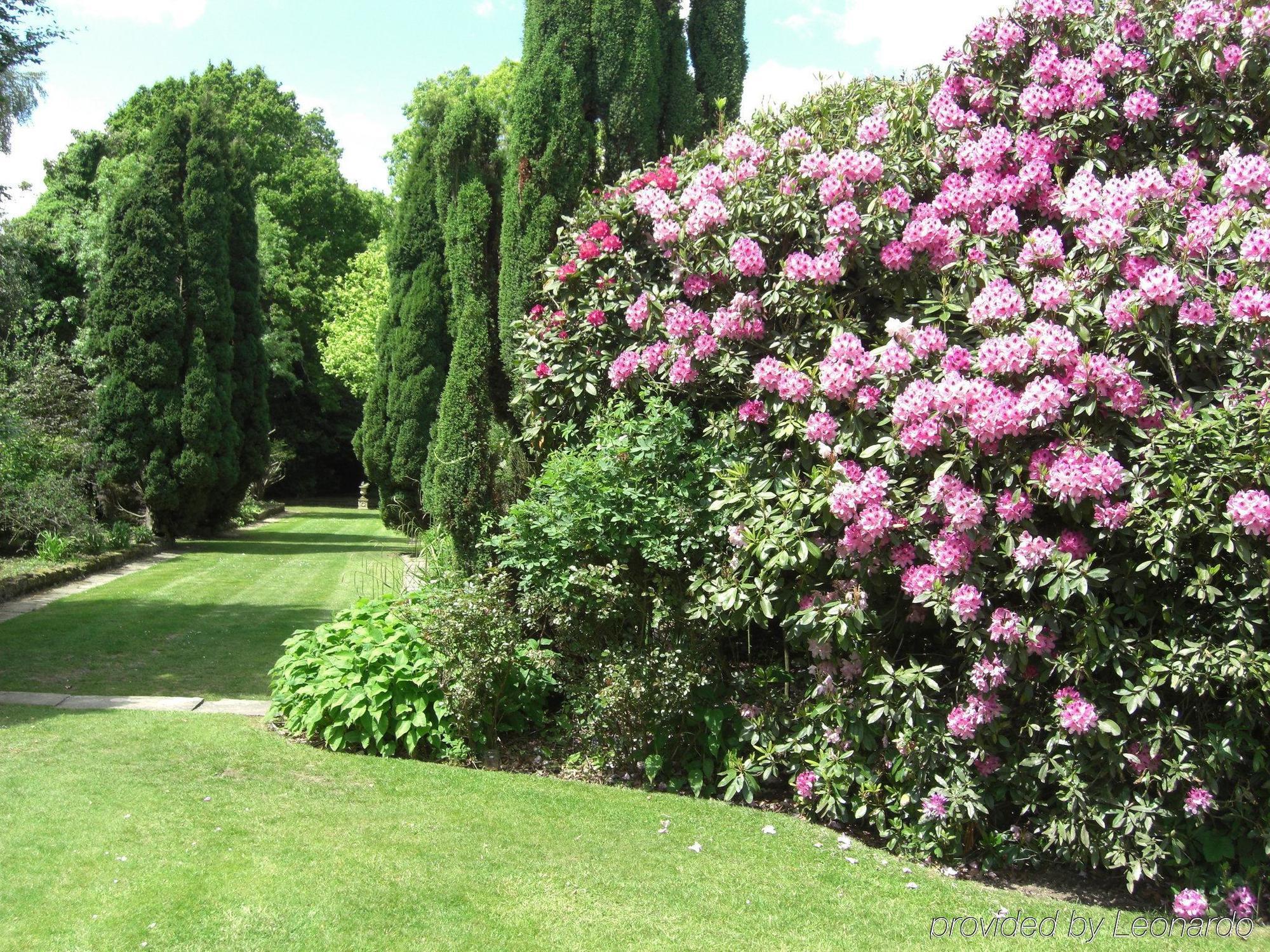Cisswood House Hotell Horsham Bekvämligheter bild
